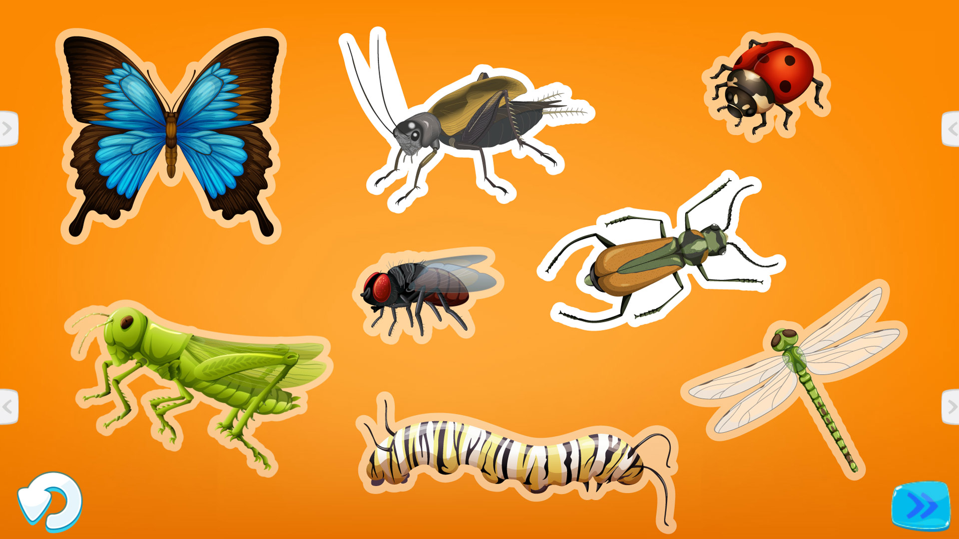 Choose two bugs – interactive eLearning content main